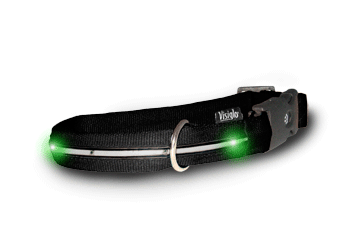 Svítící obojek Visiglo Black LED Green